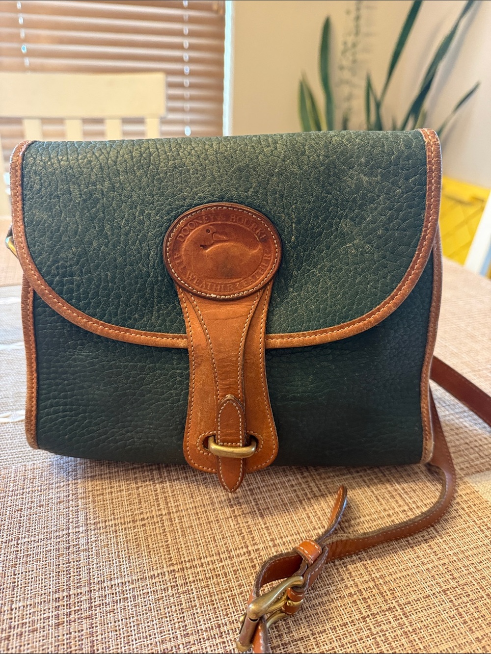 Vintage Dooney & Bourke Green Pebbled Leather Crossbody with Brown Trim